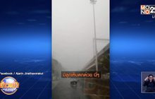 แตกตื่น! แห่แชร์ลูกเห็บตก ในกทม. หลังพายุฤดูร้อนพัดถล่ม