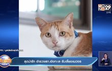 สุดน่ารัก ตำรวจสภ.เชิงทะเล รับเลี้ยงแมวจร