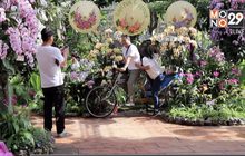 นทท.ตื่นตากล้วยไม้นับหมื่นดอกบานสะพรั่ง