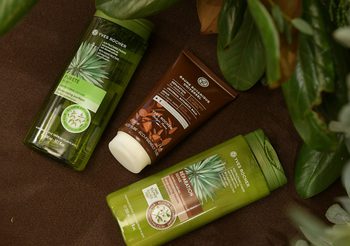 อีฟ โรเช่ แนะนำผลิตภัณฑ์บำรุงผม Universal Balm ช่วยแก้ปัญหา ผมแห้งเสีย