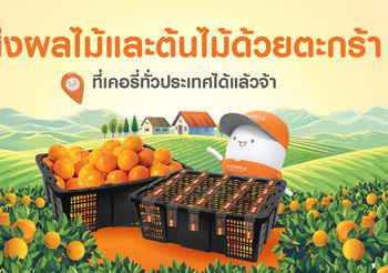 ใหม่! เคอรี่ เอ็กซ์เพรส ให้บริการรับส่งผลไม้สดด้วยตะกร้าได้แล้ววันนี้ทุกสาขาทั่วไทย