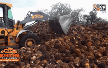 ขีดเส้นรัฐแก้ปัญหาราคาปาล์มน้ำมันตกต่ำ