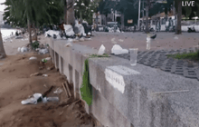 ขยะเกลื่อนหาดพัทยาหลังลอยกระทง