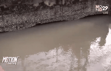 เฝ้าระวังฝนตก กทม.ตลอดทั้งวัน