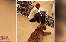 นางแบบวิจารณ์ “ฟลอยด์” เลี้ยงเสือในบ้าน