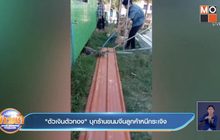 ‘ตัวเงินตัวทอง’ บุกร้านขนมจีนลูกค้าหนีกระเจิง