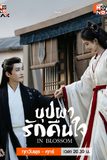 บุปผารักคืนใจ In Blossom