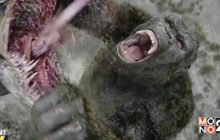 ผู้สร้างให้สัญญา Godzilla vs. Kong จะมาแนวดาร์กแน่นอน