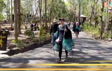 ภูกระดึง-หมู่เกาะตะรุเตา รณรงค์งดใช้ถุงพลาสติก