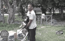 ปศุสัตว์มุกดาหารคุมเข้ม หลังพบเชื้อพิษสุนัขบ้าในหัววัว