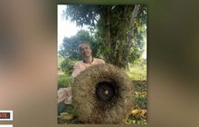 ขุดพบ ‘หัวบุกยักษ์’ ใหญ่กว่าล้อรถกระบะ