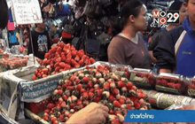 สตรอเบอรี่พันธุ์พระราชทาน 80 ออกสู่ตลาดแล้ว