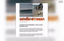 นักท่องเที่ยวไม่ตื่นข่าวลวงพบจระเข้ที่ทะเลพัทยา