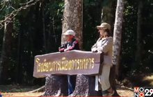 แห่สัมผัสอากาศหนาวที่อุทยานแห่งชาติภูหินร่องกล้า
