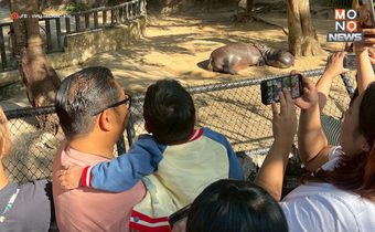 น้องออโต้” วัย 6 ขวบ ป่วยมะเร็ง ขอดู “หมูเด้ง” ครั้งสุดท้าย ก่อนจากไปอย่างสงบ