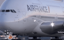 สายการบิน 3 แห่งยกเลิกการบินเหนือแหลมไซนาย