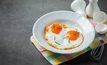 ไข่ไก่ กินวันละกี่ฟอง? ถึงจะดีต่อสุขภาพ เด็กและผู้ใหญ่กินไข่ได้วันละกี่ฟอง