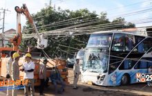 หนุ่มเกิดโรคลมชักกำเริบขับหกล้อชนเสาไฟฟ้าหัก