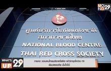กาชาด วอนคนไทยบริจาคโลหิต ฝ่าวิกฤตโควิด-19  ยันปลอดภัย มั่นใจได้