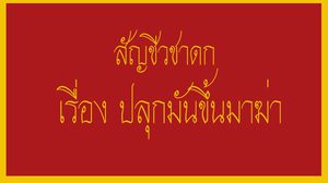 สัญชีวชาดก เรื่อง ปลุกมันขึ้นมาฆ่า