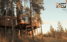 โรงแรมต้นไม้ในสวีเดน