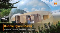 ไปนอนนับดาวฟินๆ ที่ Bubble Igloo เขาใหญ่ ห้องพักฟองสบู่ แห่งแรกในไทย