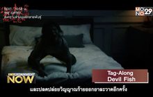 Movie Review : Tag-Along Devil Fish