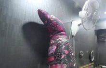 ช่อดอกไม้แหวกแนววันวาเลนไทน์