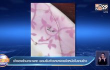 เจ้าของร้านกระเพรา ยอมรับผิดเศษฝอยขัดหม้อในจานข้าว