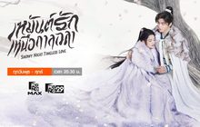 เหมันต์รักเหนือกาลเวลา Snowy Night: Timeless Love