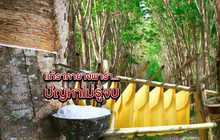 แก้ราคายางพารา…ปัญหาไม่รู้จบ 15-10-62