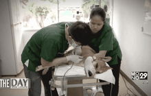 โครงการต้นแบบแก้ปัญหาสุนัขจรจัด