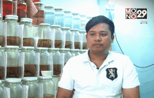 “ปลากัดนักสู้” ส่งออกนอกกำไรงาม