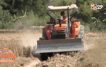 รณรงค์ “ไถกลบตอซังข้าว” เพื่อลดภาวะโลกร้อน