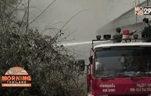 ผลกระทบจากไฟป่า