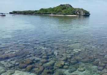 เปิดให้ท่องเที่ยวดำน้ำดูปะการังน้ำตื้นรอบเกาะจาน-เกาะท้ายทรีย์