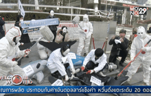 ญี่ปุ่นหวนล่าวาฬ