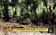 ช้างทำลายสวน จ.ตราด กินทุเรียน-เงาะสูญนับแสน