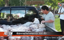 ยึดซากสุนัขชำแหละกว่า 100 ตัว