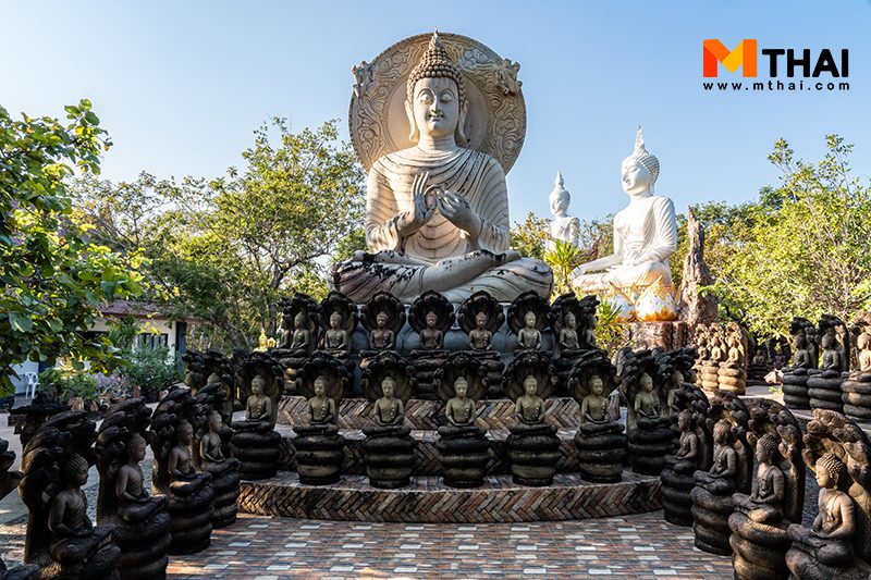 วัดป่า