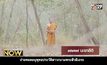 Movie Review : ๗๗๗ นะชาลีติ