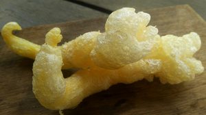 วิธีเตรียมกระเพาะปลา ก่อนที่จะเอาไปทำอาหาร