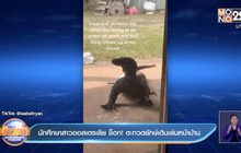 คลิป นักศึกษาสาวออสเตรเลีย ช็อก! ตะกวดยักษ์เดินเล่นหน้าบ้าน