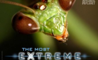 The Most Extreme Series สุดขีด! สัตว์พิศวง ปี 4