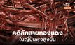 ญี่ปุ่น พบสายทองแดงถูกขโมยเพิ่มขึ้น เร่งหามาตรการป้องกัน