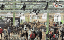 งานจักรยานในเดนมาร์ก