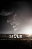The Mule เดอะ มิวล์