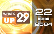 What’s up 29 22-03-64