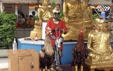 ไอ้ไข่ฟีเวอร์ ขยายเที่ยวบินเมืองคอน 30 เที่ยวต่อวัน