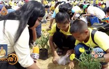 ​เมล็ดพันธุ์ข้าวพระราชทาน
